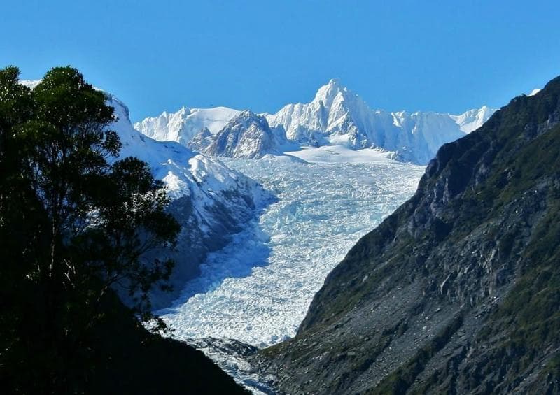 Bella Vista Motel Fox Glacier 2