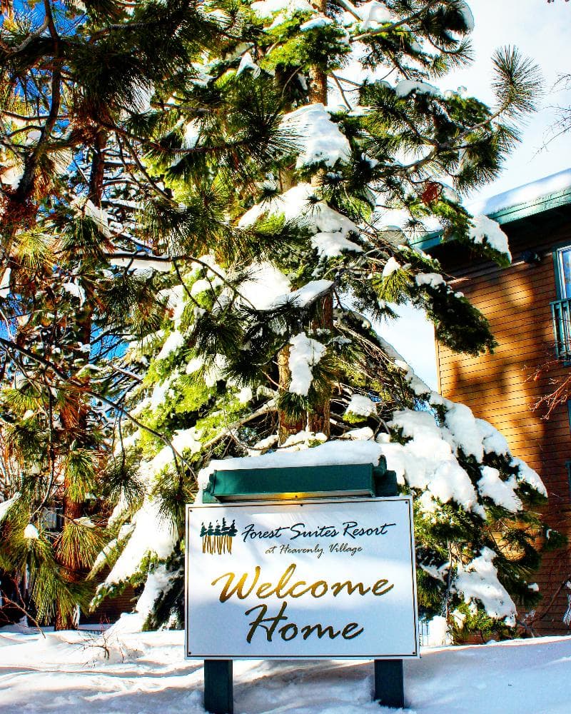 Forest Suites Resort at Heavenly Village 5