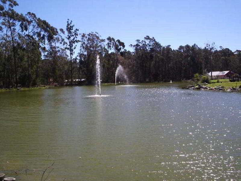 Solanas Green Park photo 1