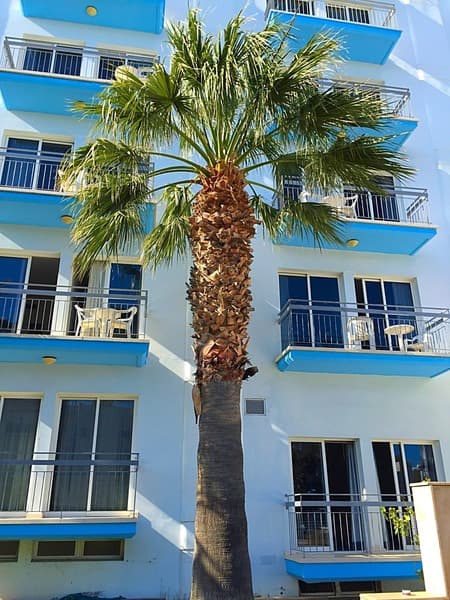 Blue Crane Hotel Apartments 4