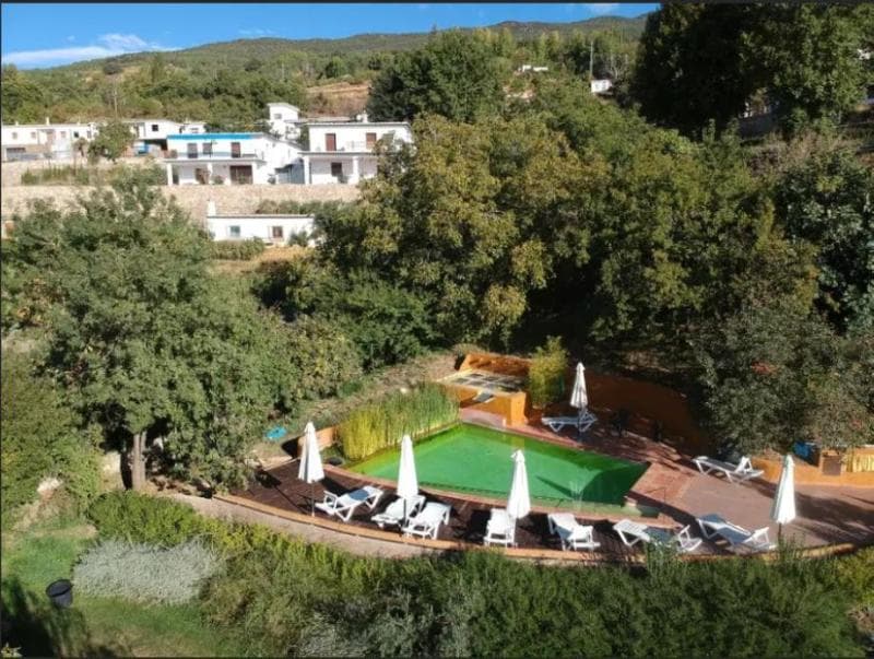 La Oveja Verde main