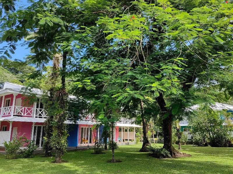 Tortuga Lodge & Gardens 3