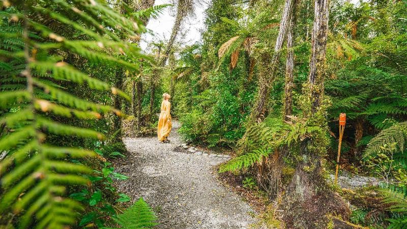 Te Waonui Forest Retreat 3