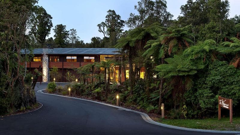 Te Waonui Forest Retreat 4
