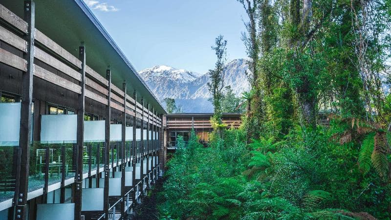 Te Waonui Forest Retreat 5