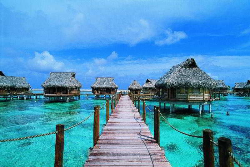 Le Tikehau by Pearl Resorts 5
