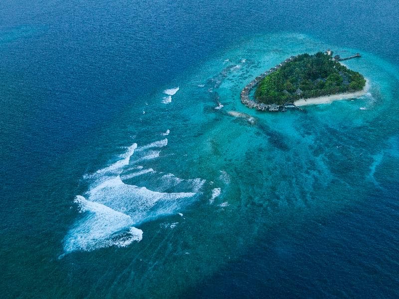 Taj Coral Reef Resort & Spa, Maldives 2