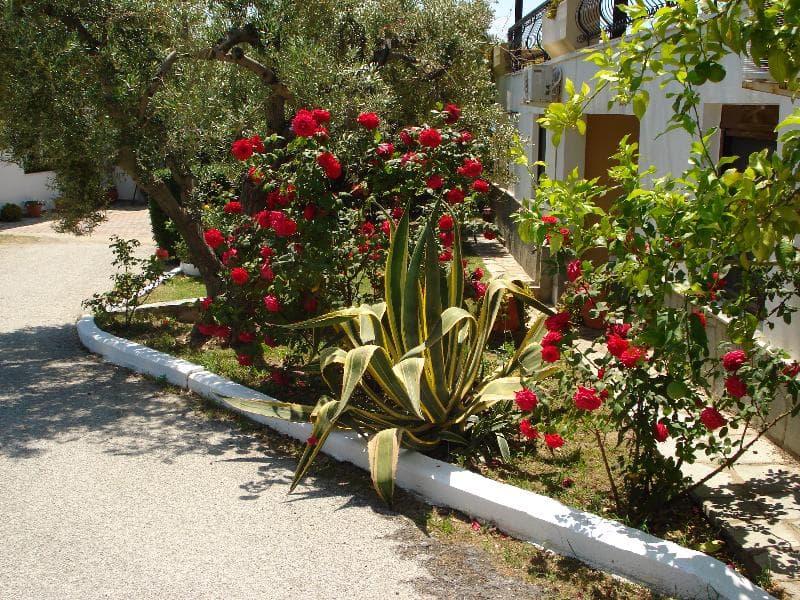 Asteris Village 5