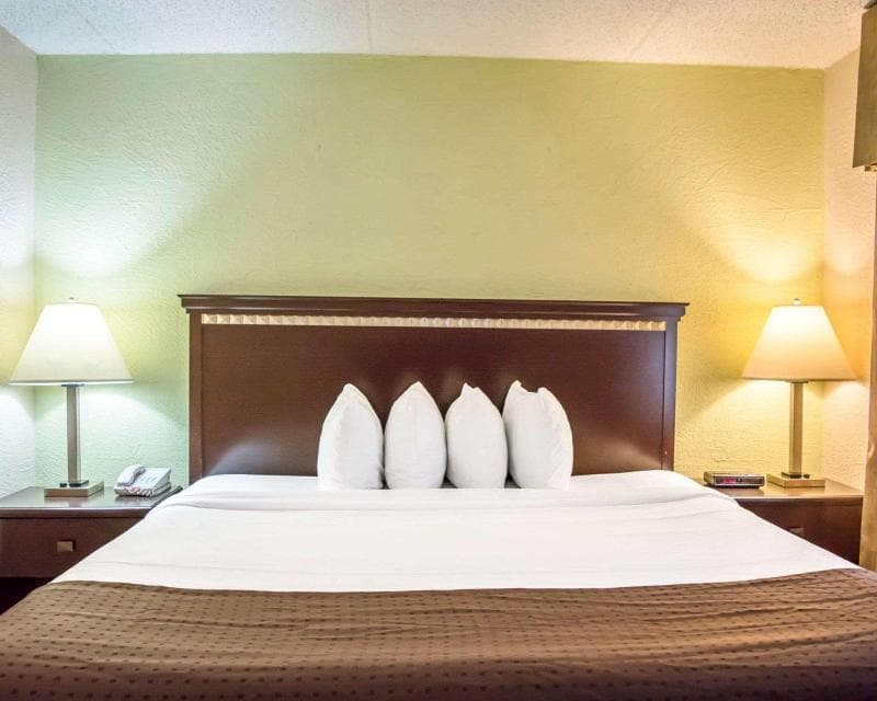 Quality Inn & Suites Tampa - Brandon Near Casino 3