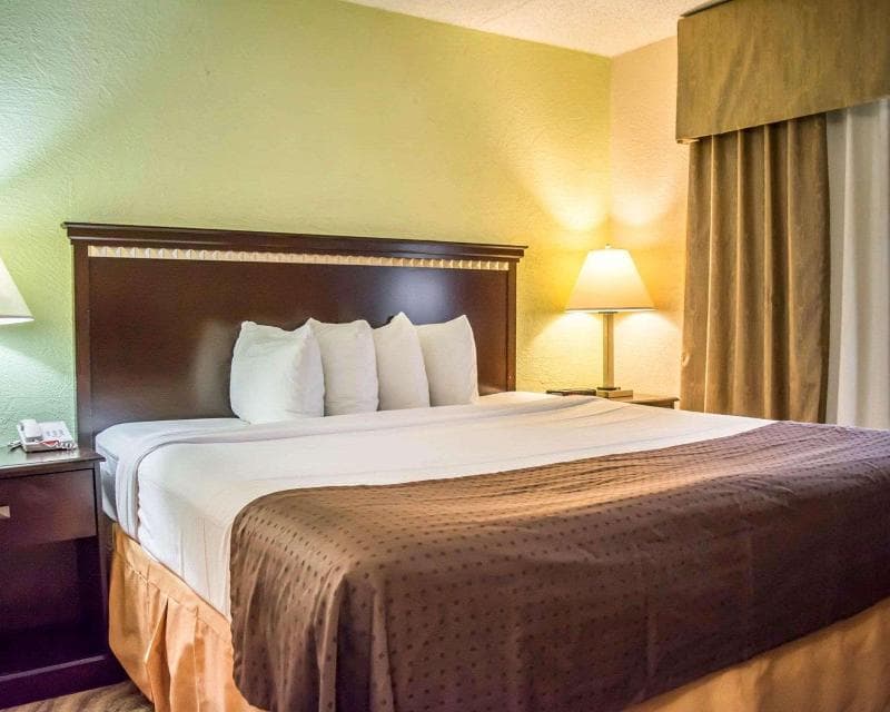 Quality Inn & Suites Tampa - Brandon Near Casino 4