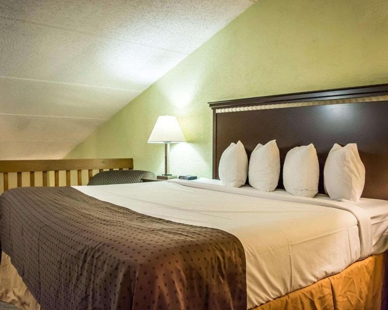 Quality Inn & Suites Tampa - Brandon Near Casino 5