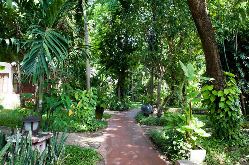 Montien House 3