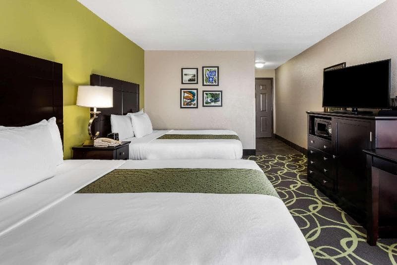 La Quinta Inn & Suites by Wyndham New Braunfels 4