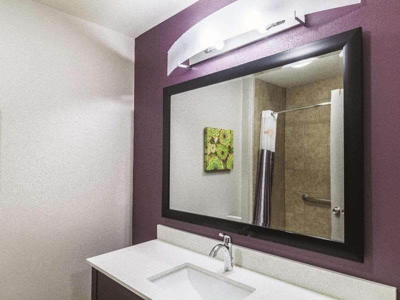 La Quinta Inn & Suites Mission at West McAllen 5