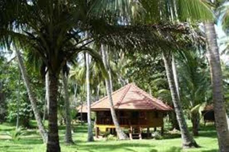 Palm Paradise Cabanas 5