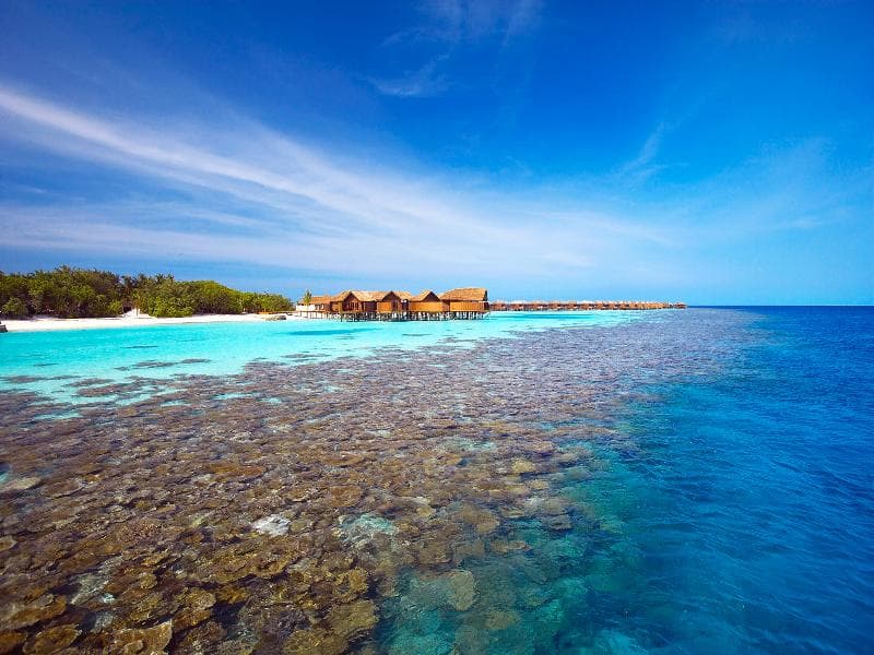 Lily Beach Resort & Spa 3