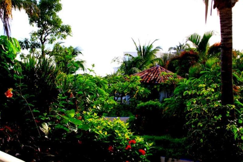 Sapphire Beach Resort photo 1