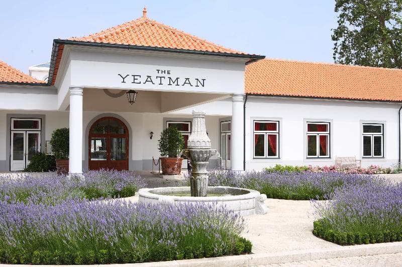 The Yeatman 2