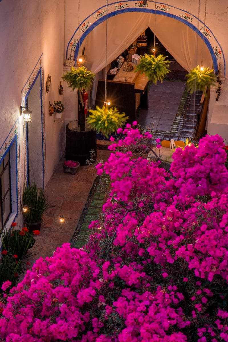 Mansion del Burro Azul 3