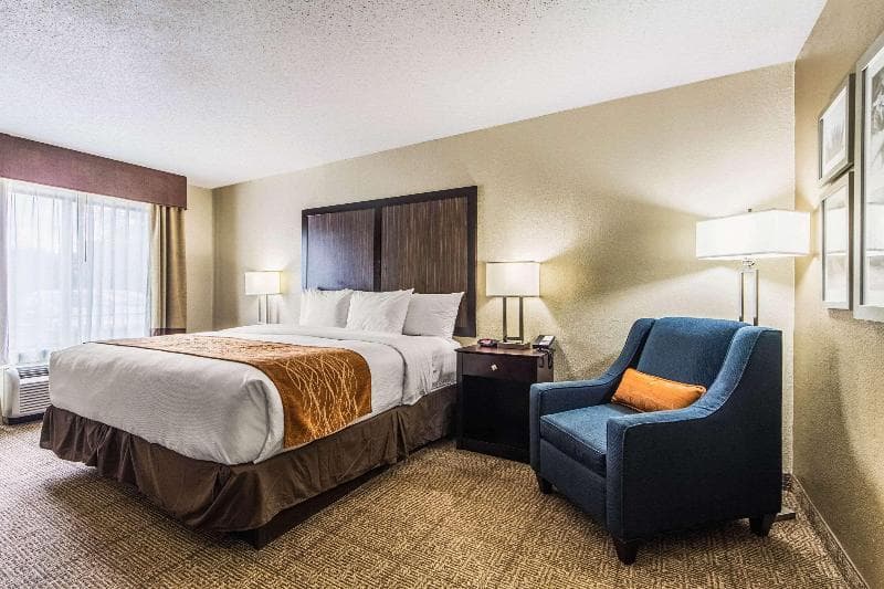 Comfort Inn Dallas Park Central 3