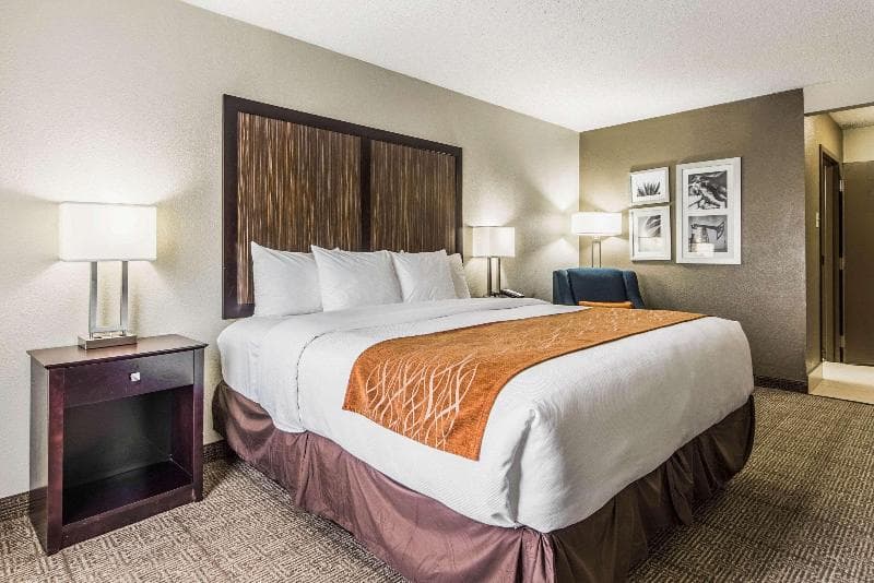 Comfort Inn Dallas Park Central 5