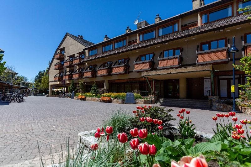Blackcomb Lodge 5