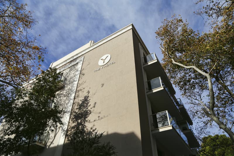 The Y photo 1