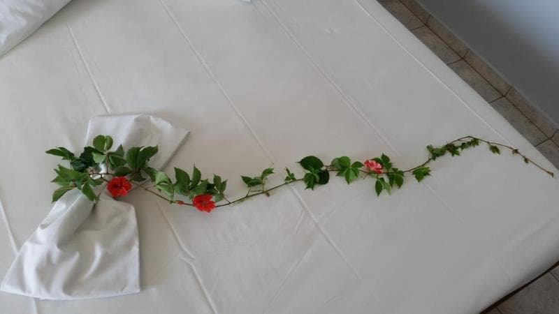 Astir Palace Hotel photo 1