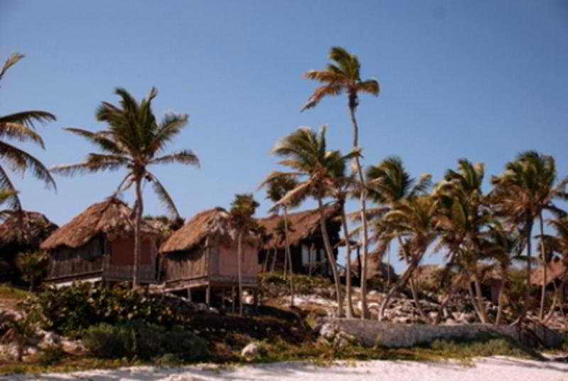 Papaya Playa Project 2