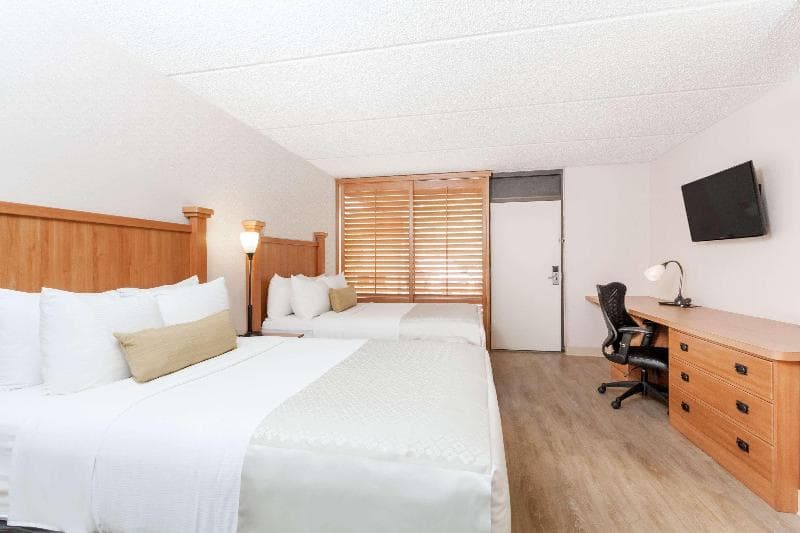 Wyndham Garden Austin 3