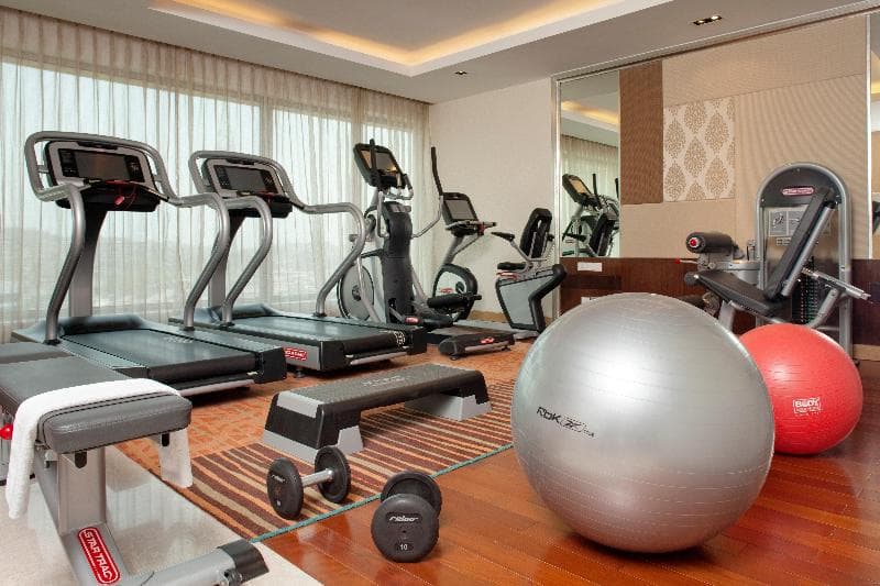 Holiday Inn Mumbai International Airport 3