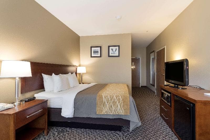Comfort Inn Auburn 4