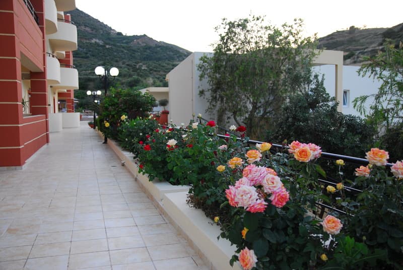 Elpis Studio-Apartments main