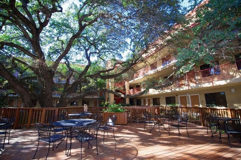 Best Western Plus Orchid Hotel & Suites 2
