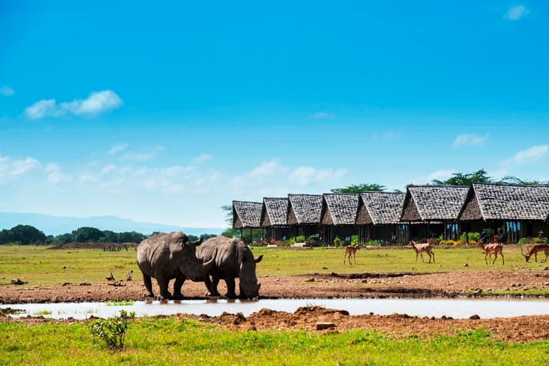 Sweetwaters Tented Camp photo 1