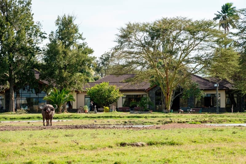 Sweetwaters Tented Camp 4