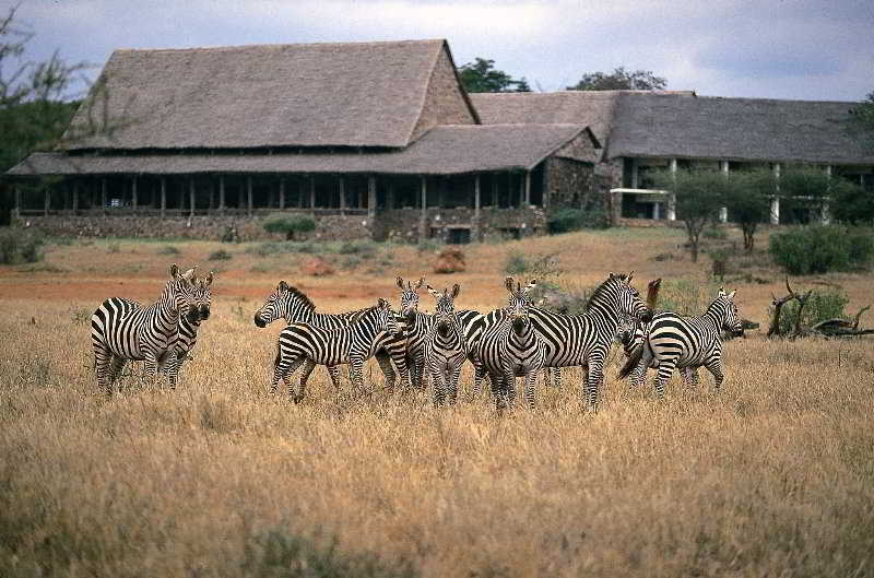 Kilaguni Serena Safari Lodge photo 1