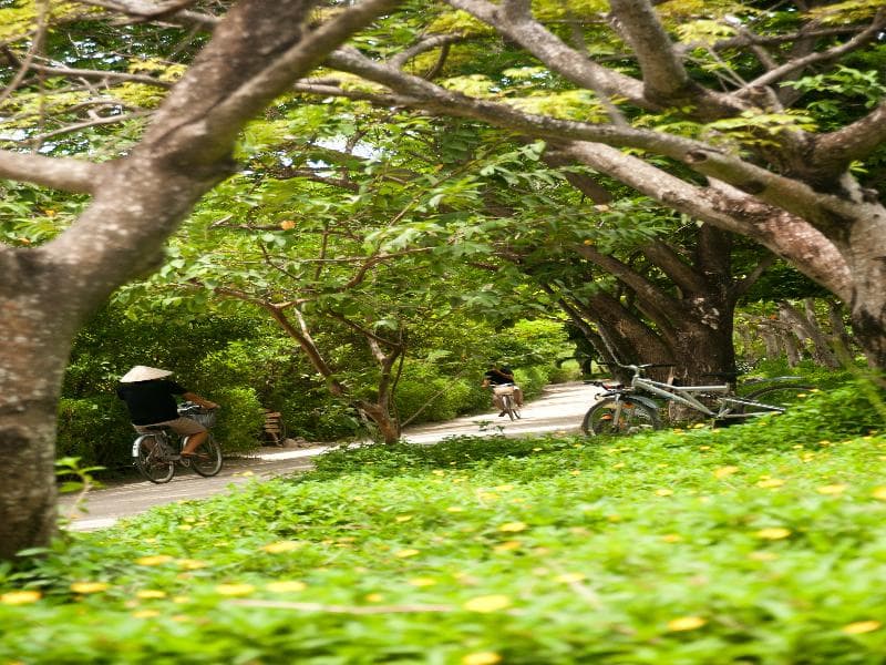 L Alya Ninh Van Bay 5