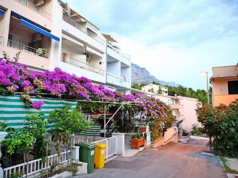 Apartments Ruza 3