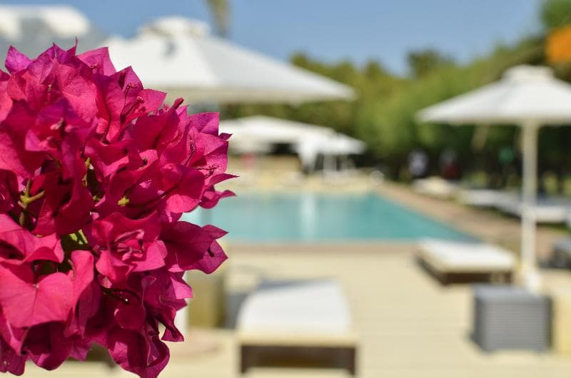 Plaza Resort Hotel 3