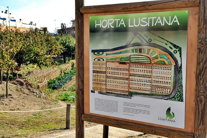 Lusitania Congress and Spa 3