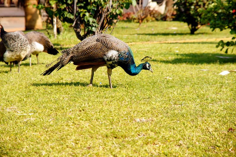 Kadoma Hotel & Conference Center 4