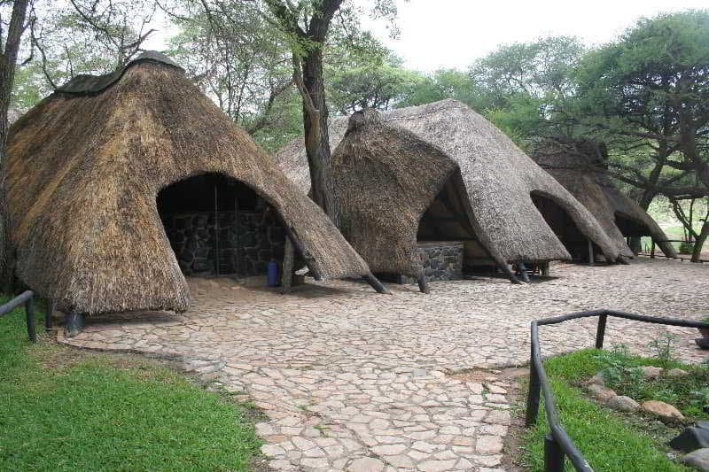 Sikumi Tree Lodge main