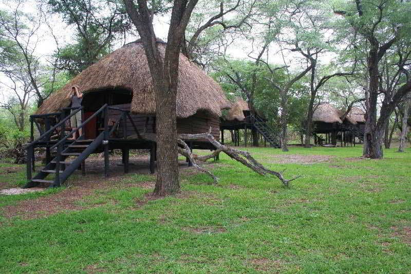 Sikumi Tree Lodge photo 1