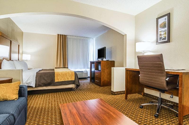 Comfort Inn & Suites 3