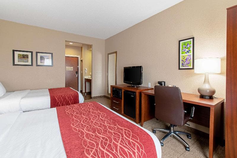 Comfort Inn & Suites 3