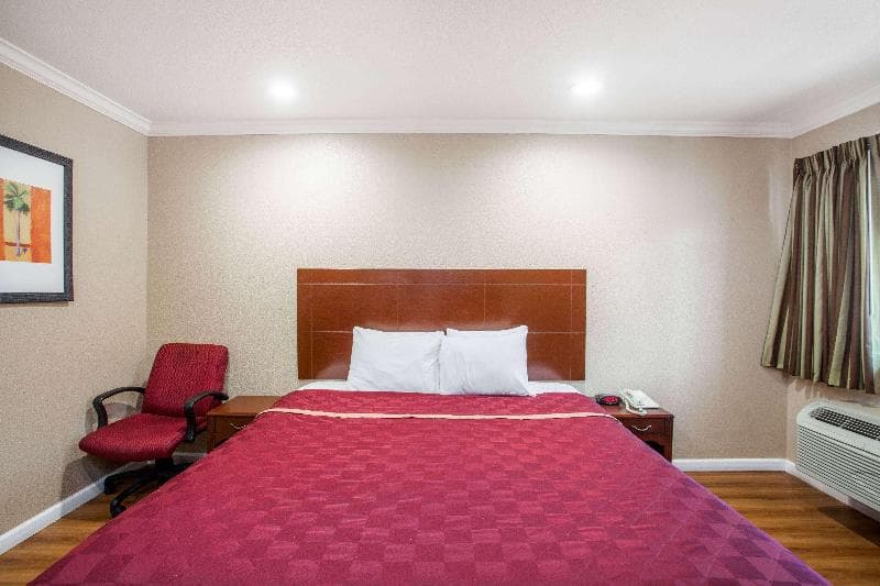 Express Inn & Suites 3