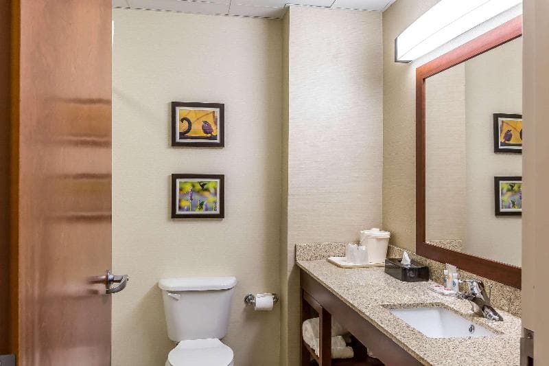 Comfort Inn 3