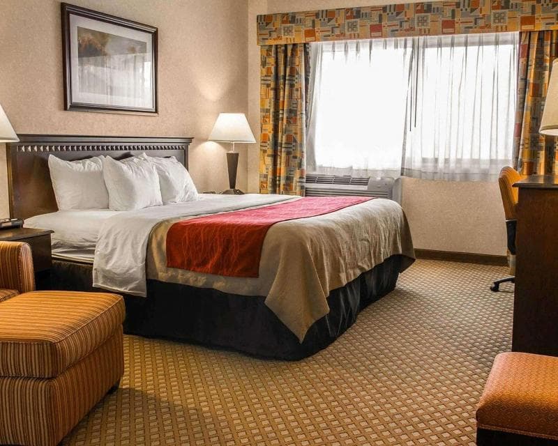 Quality Inn & Suites 4