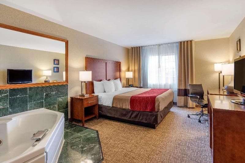 Comfort Inn & Suites 4